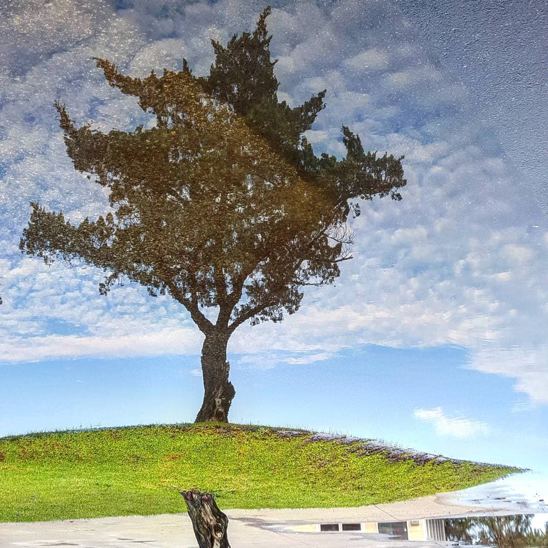 Reflection photography