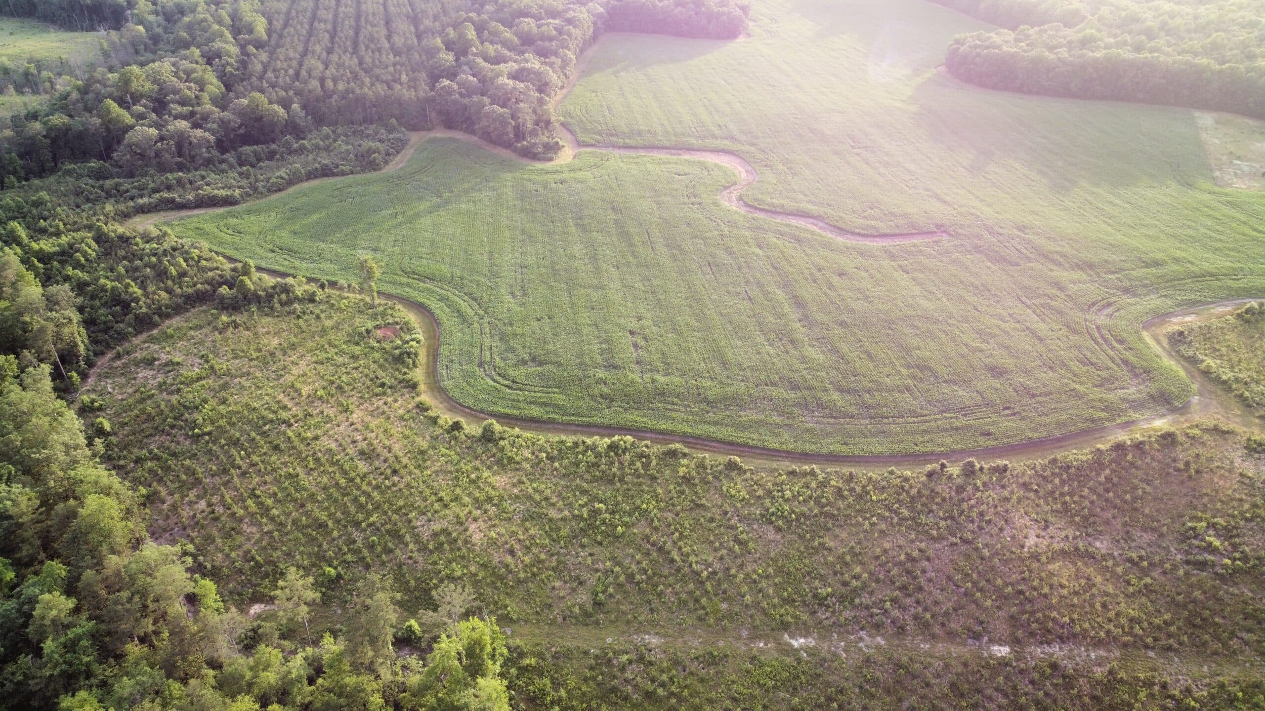 Landscape photography