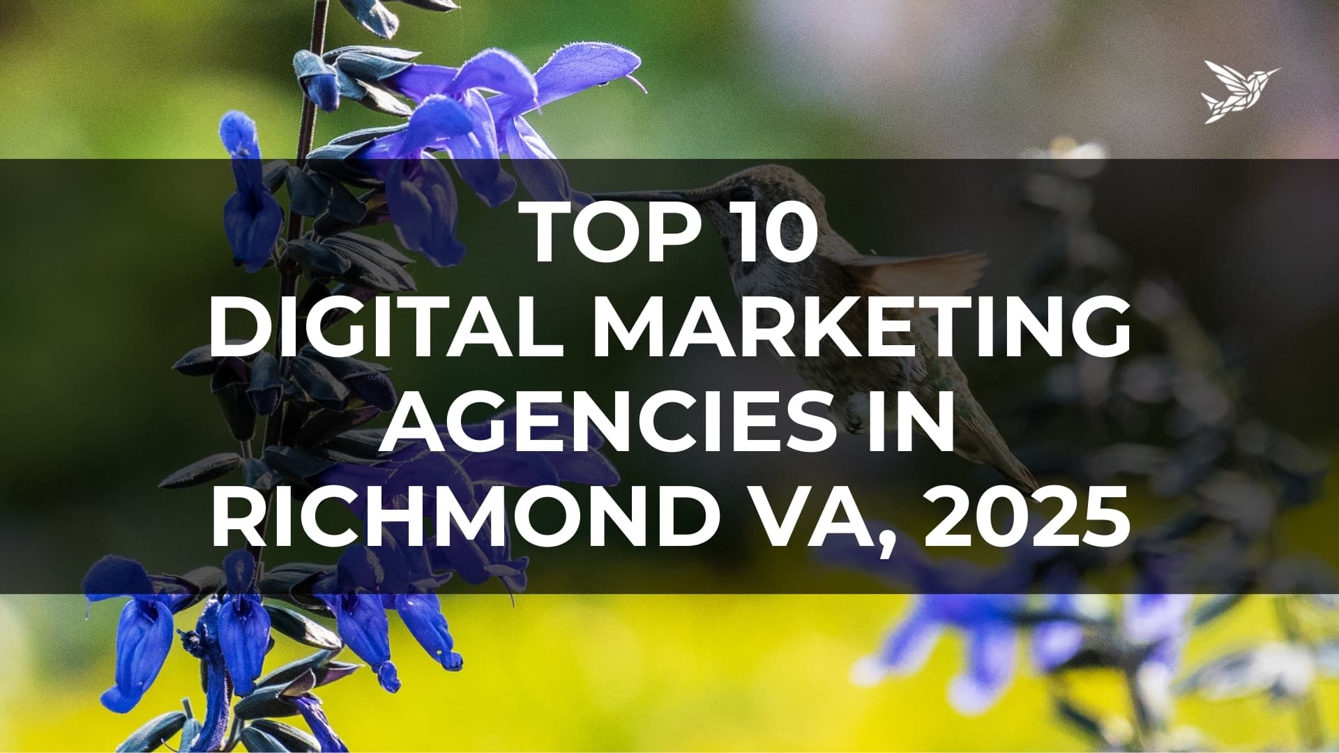 Top 10 Digital Marketing Agencies in Richmond, Virginia 2025